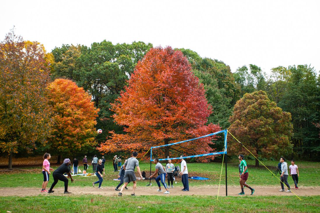 Fall foliage in Prospect Park